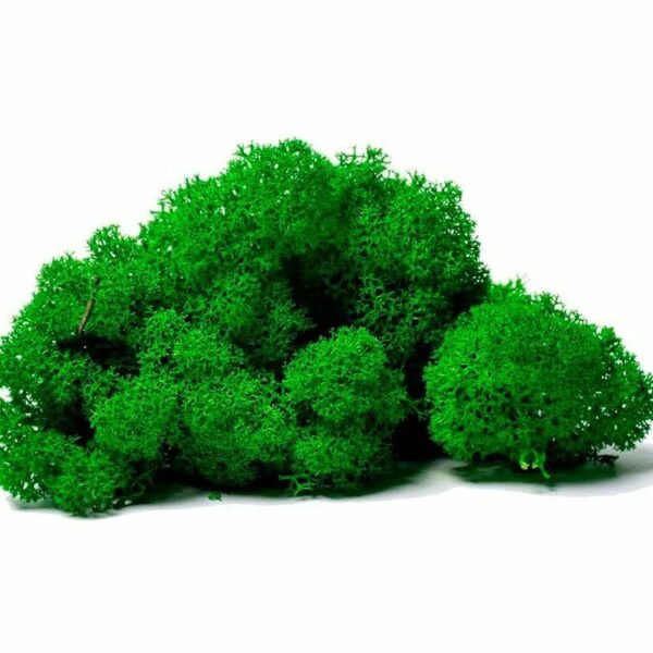 Мох натуральный стабилизированый цв. зелёный упак. 50 ± 5 г