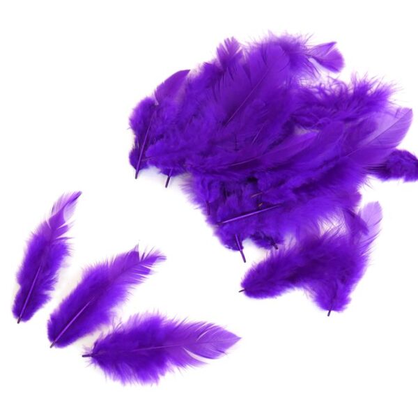 Перья 7-10 см цв. фиолетовый упак. 10 шт