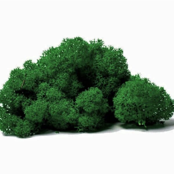 Мох натуральный стабилизированый цв. т. зелёный упак. 50 ± 5 г